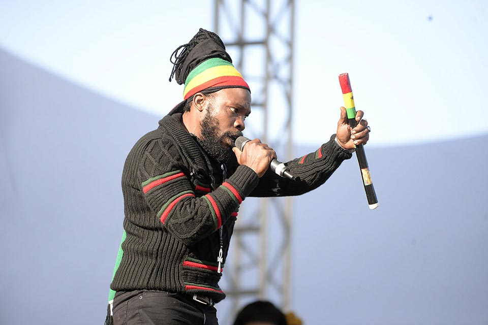 Bushman, International Reggae Artist